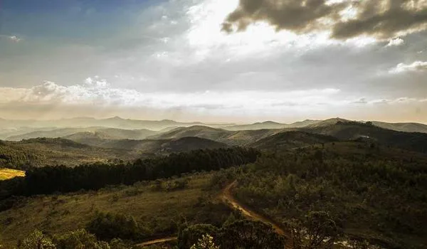 随笔 | 2025 年的第一天，说点什么吧